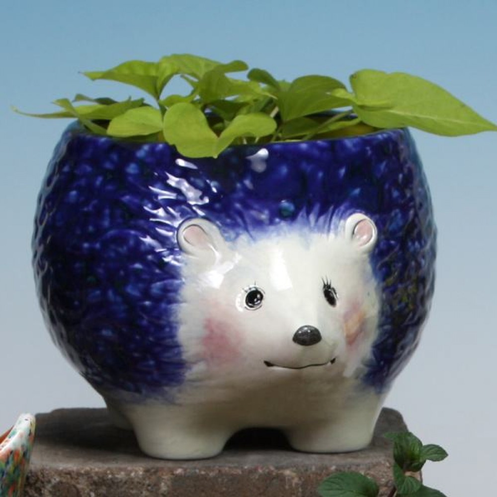Hedgehog Planter (Example)