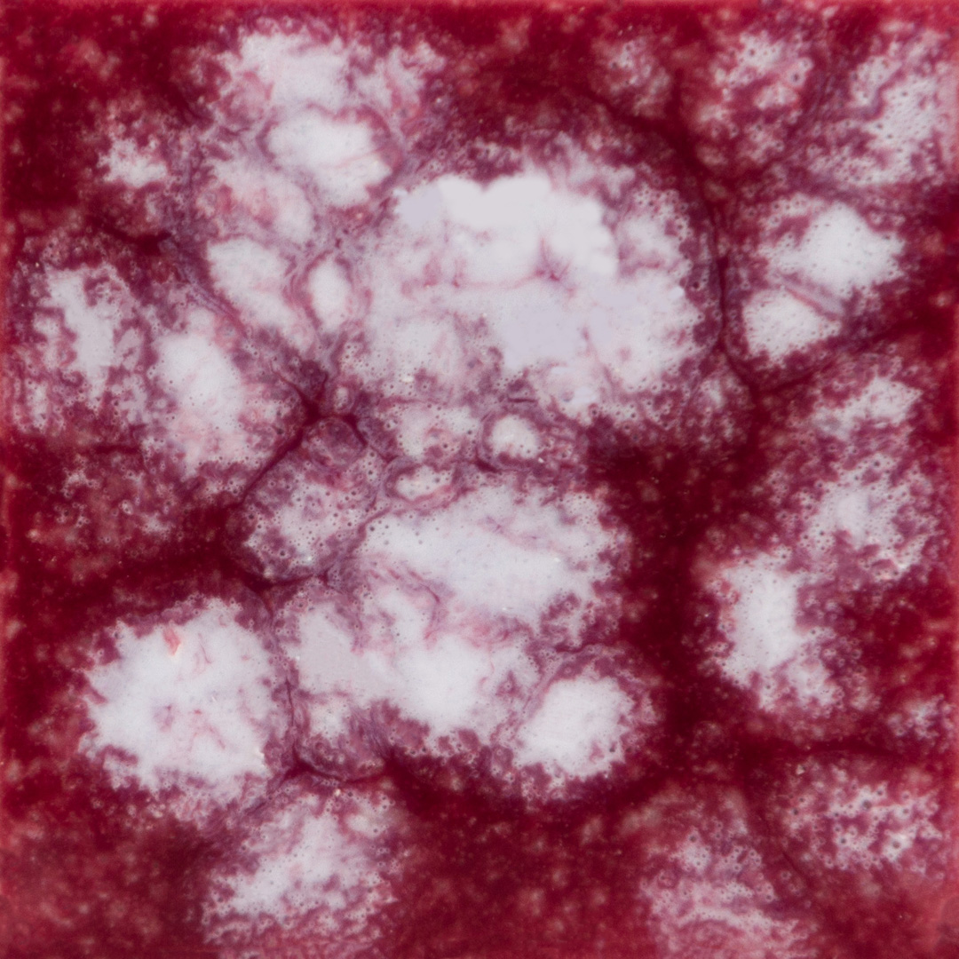 CG-783 Strawberry Sundae