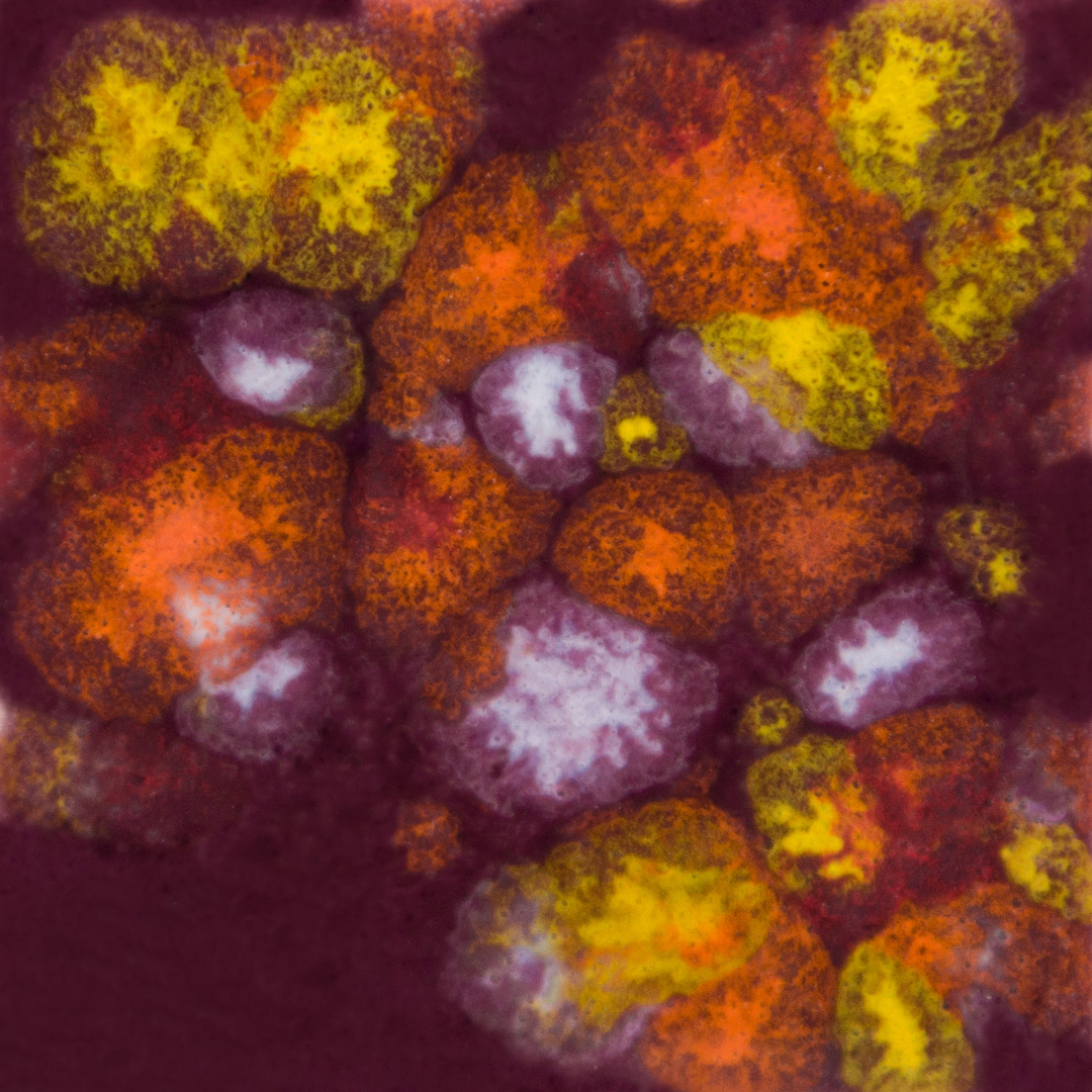 CG-969 Floral Fantasy