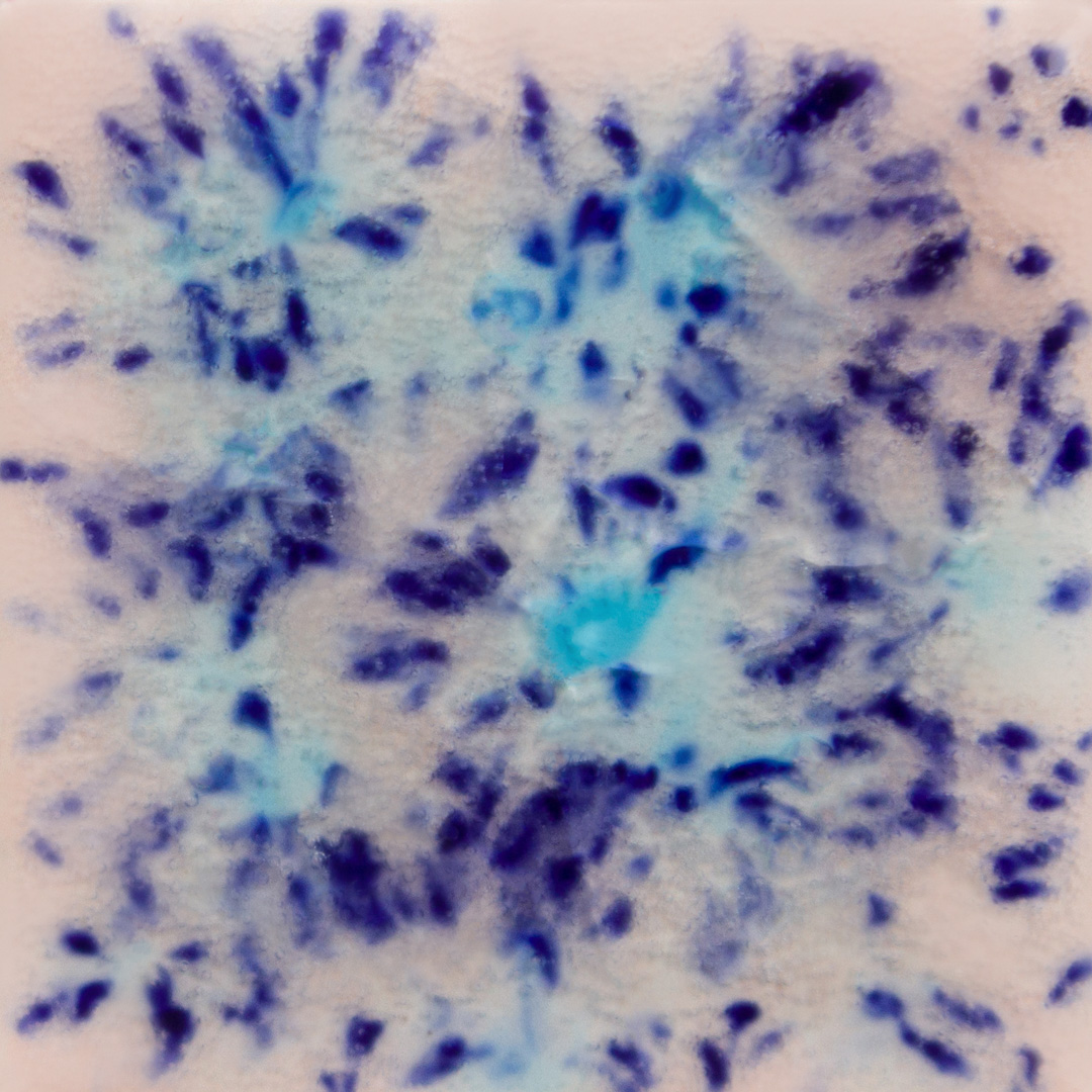 s-2702 Northern Lights