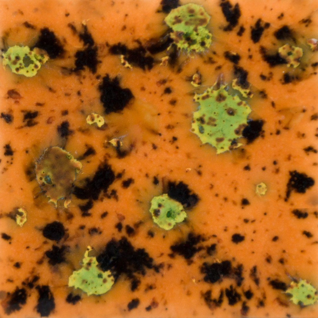 s-2708 Oriental Carmel