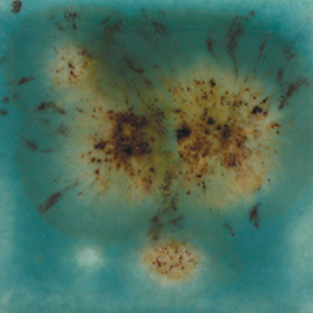 s-2724 Lotus Blossom