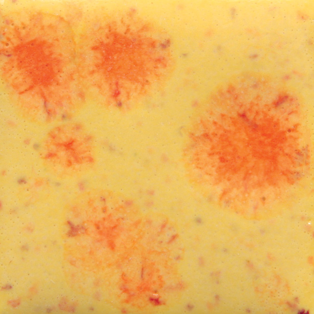 s-2729 Citrus Splash